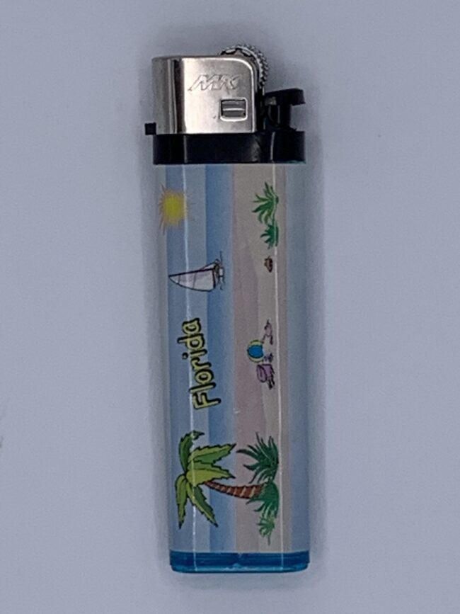 Beach Scene Florida - Disposable Lighters