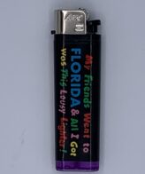 Lousy Florida Disposable Lighters - in 50 pc. Display