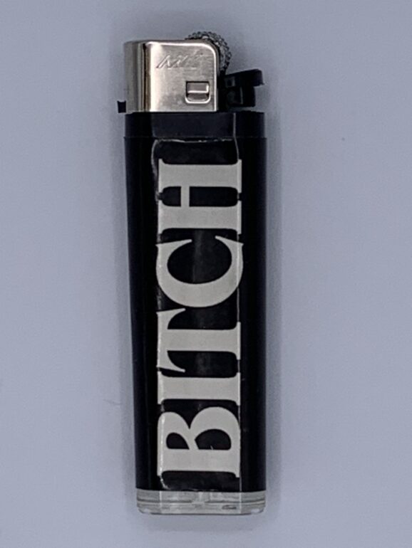 Bitxh Disposable Lighters - in 50 pc. Display