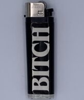 Bitxh Disposable Lighters - in 50 pc. Display