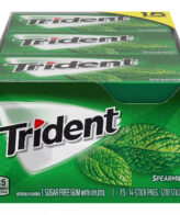 Trident Spearmint Sugar Free Gum  (14 pieces, 15 pks.)