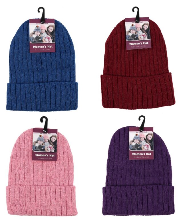 Women's Winter Caps Beanies * 4 Asst.